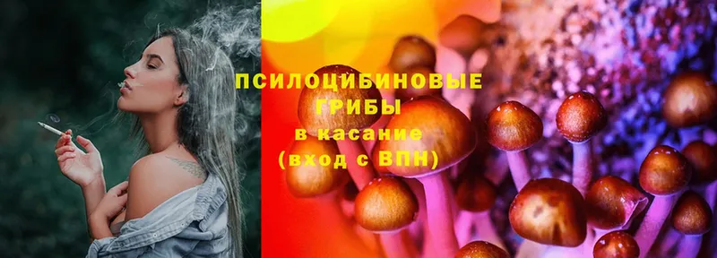 Галлюциногенные грибы Cubensis  даркнет как зайти  Мамоново  купить  цена 